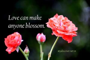 Love can make anyone blossom, love is remedy 