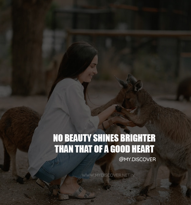 no beauty shines brighter than that of a good hearta family.